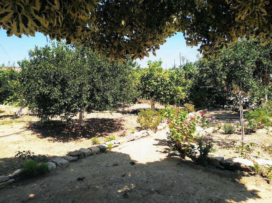 Garden House Stoli